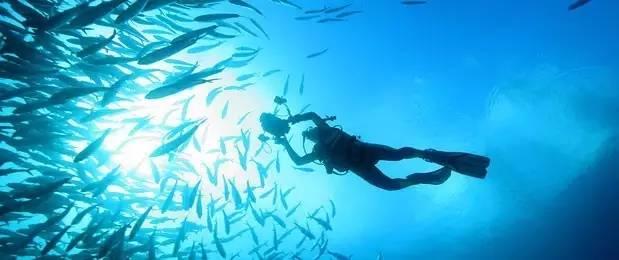 2023年第四季度海西金融、旅游、健康、消费信心指数正式发布